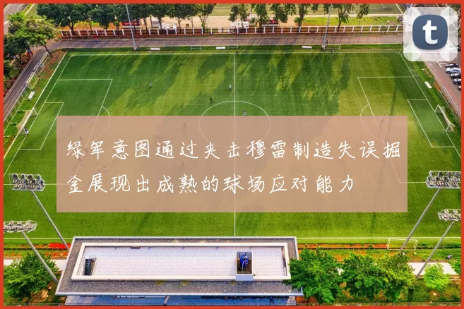 绿军意图通过夹击穆雷制造失误掘金展现出成熟的球场应对能力